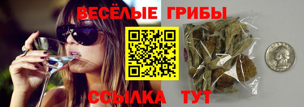 Псилоцибиновые грибы GOLDEN TEACHER Будённовск